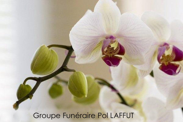 Photo 209166