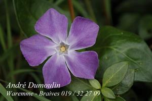 Photo 240484