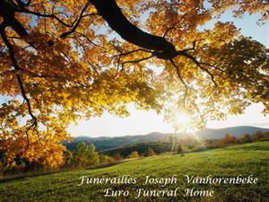 Photo 323964